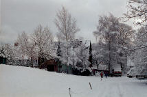 Winterlandschaft